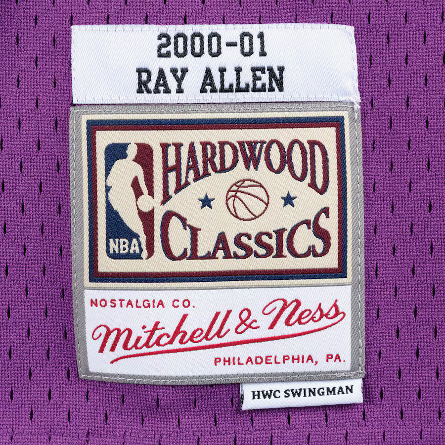NBA  SWINGMAN  JERSEY  BUCKS  2001  RAY ALLEN-thumbmail-3