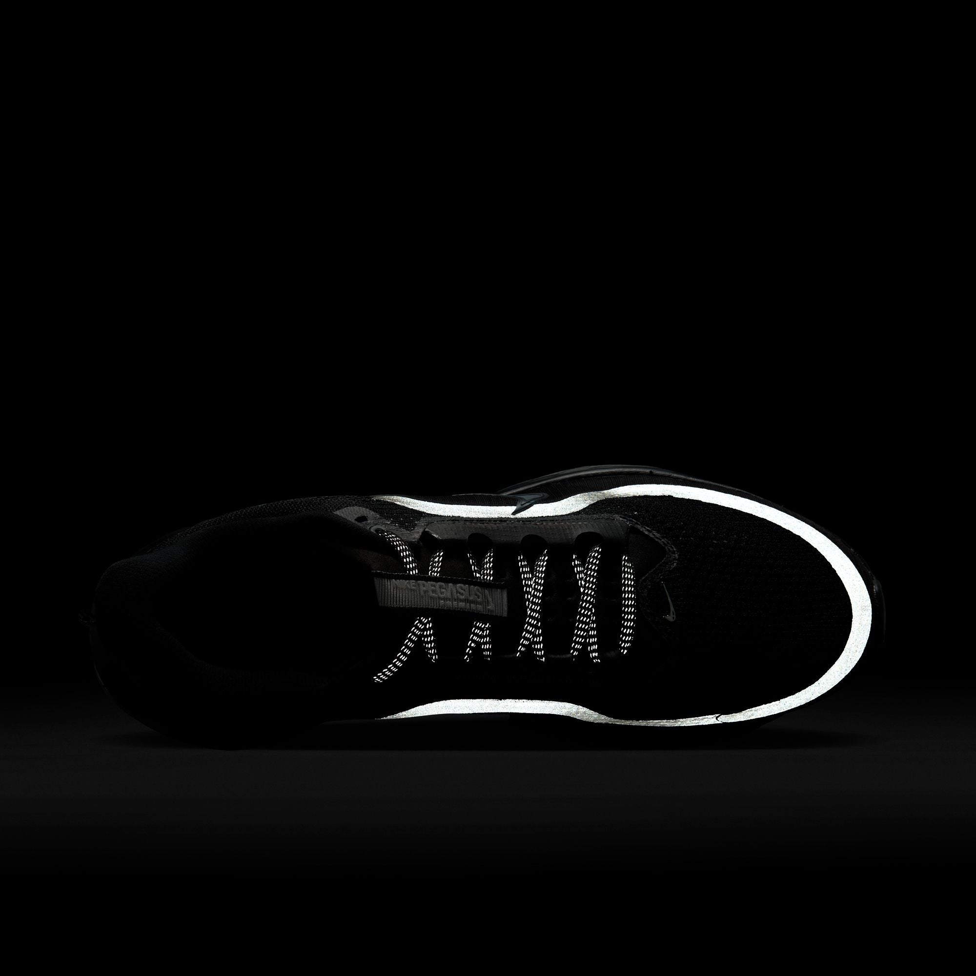 Nike Pegasus Premium-thumbmail-10