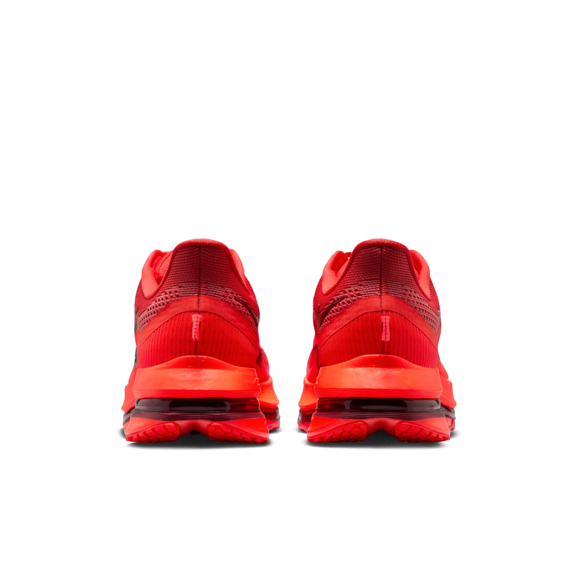 Nike Pegasus Premium-thumbmail-3