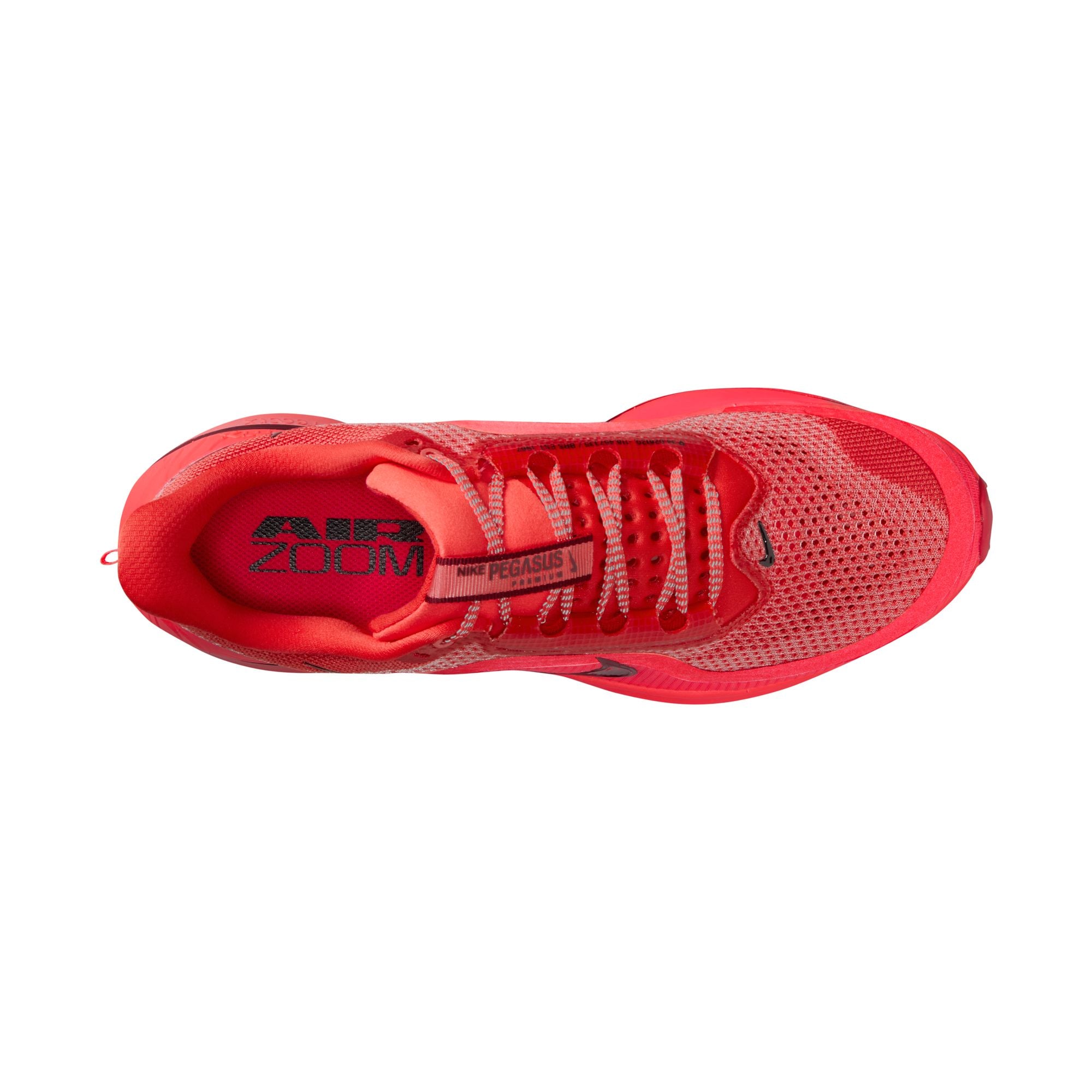 Nike Pegasus Premium-thumbmail-8