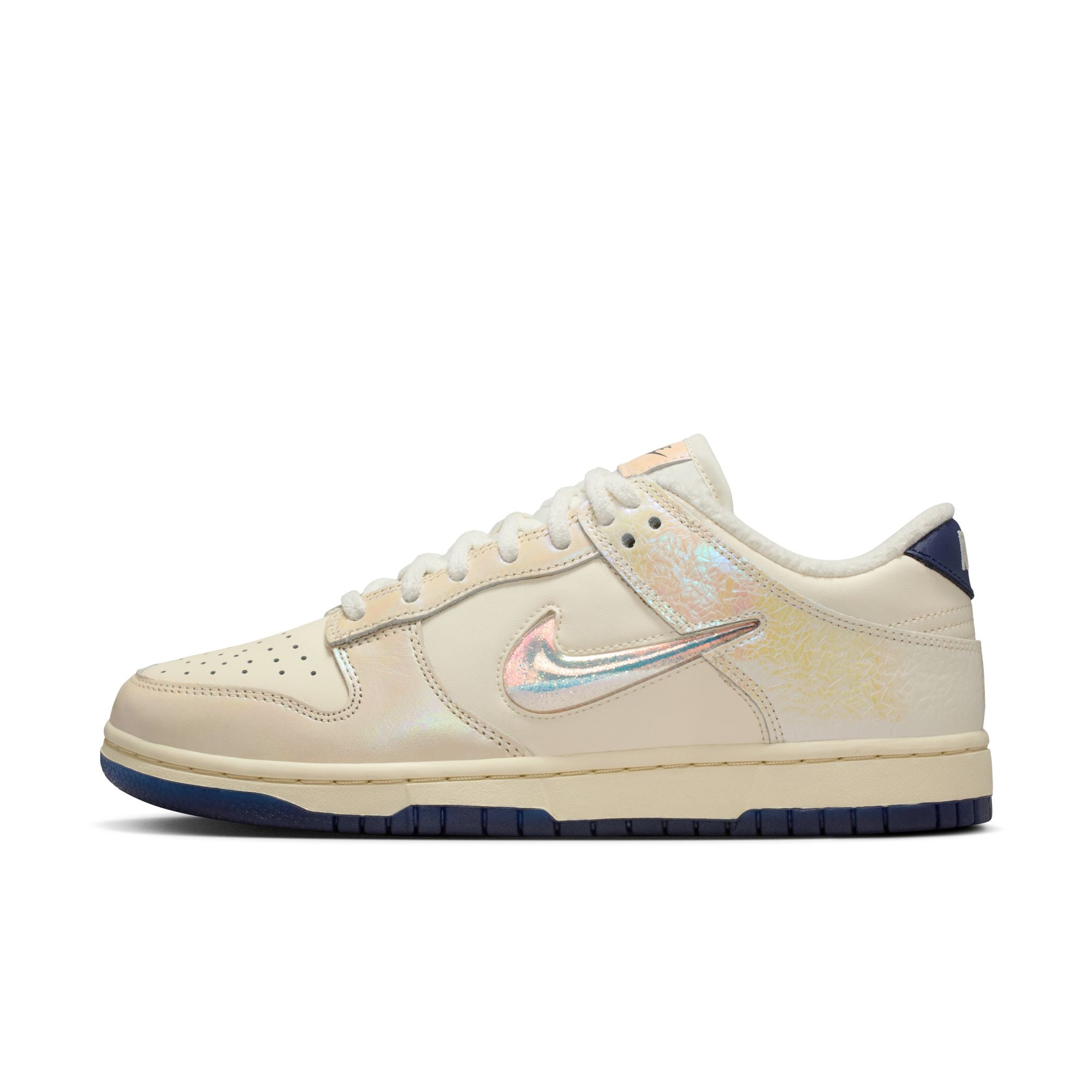 Nike Dunk Low (W)