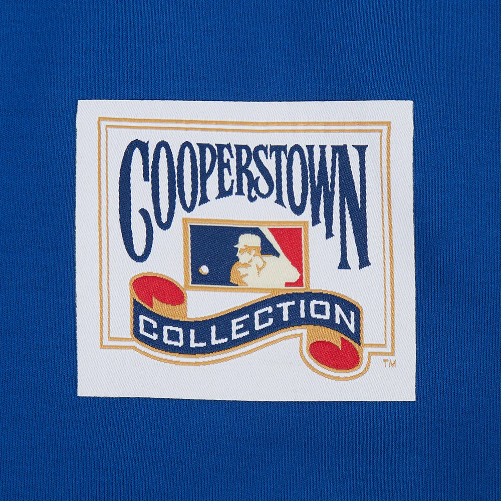 LOS ANGELES DODGERS FIRST TEAM M DBL KNIT SS RAGLAN-thumbmail-7