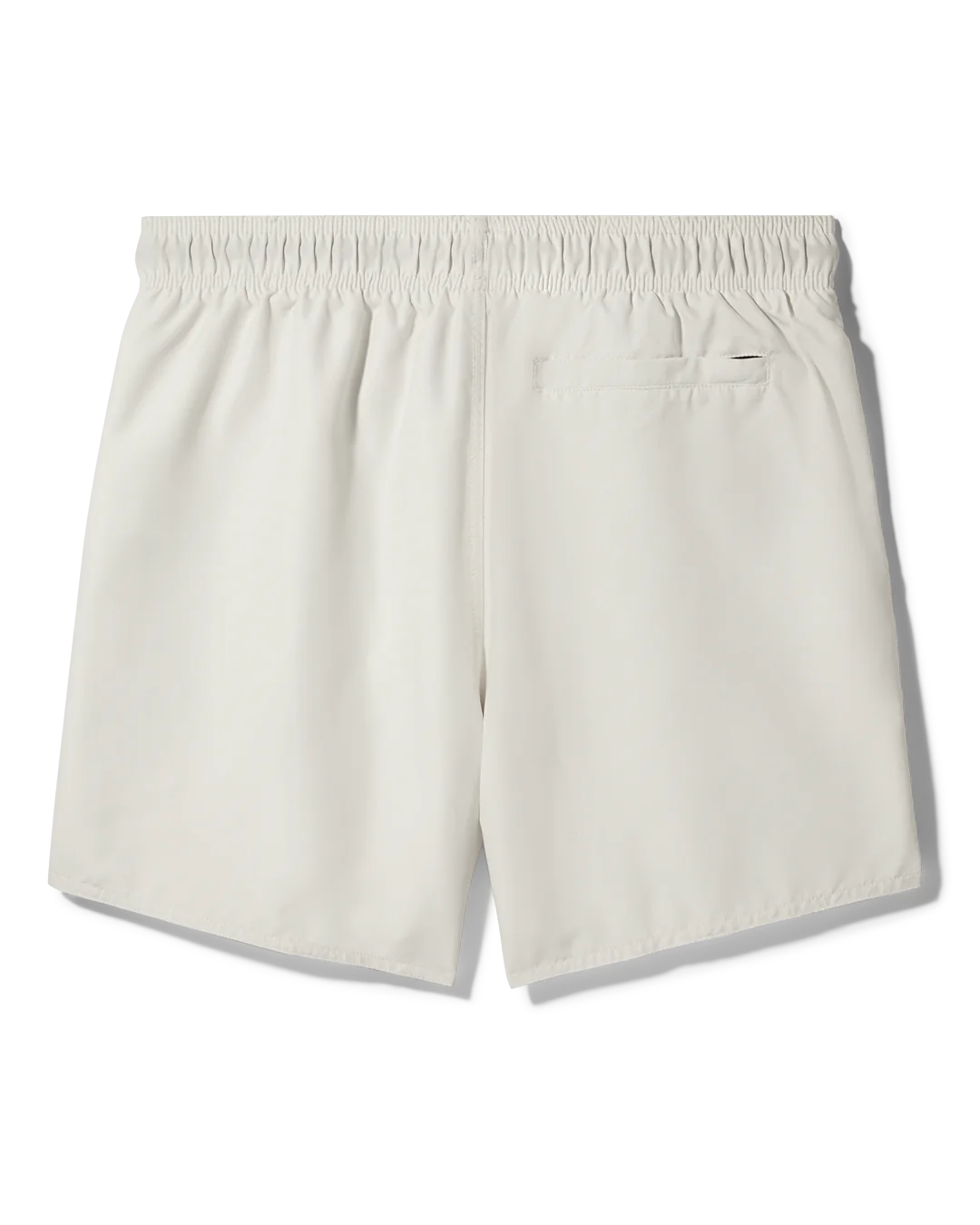 CREAM CHECK SHARK CENTRAL SWIM-thumbmail-2