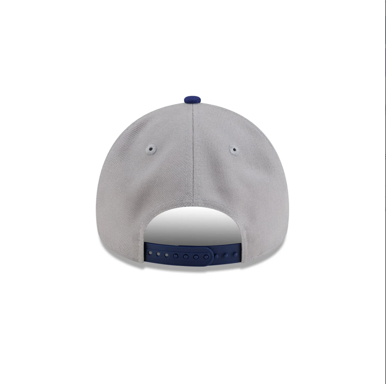 Back View of the New Era Dodgers 2025 World Series Champions Flag 9FORTY A-Frame Snapback