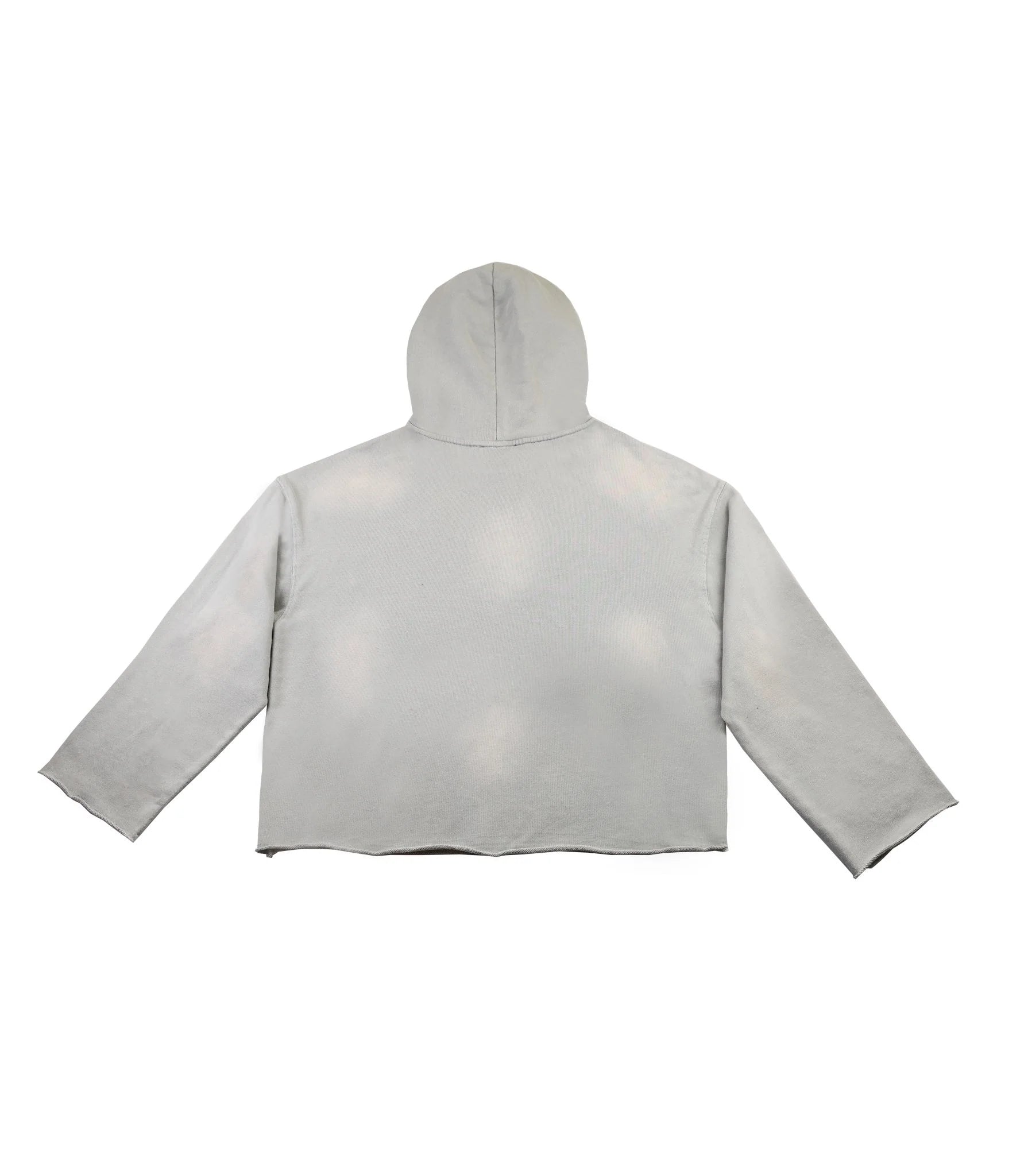 Back View of the Paper Money PAPER HOODIE in Grey